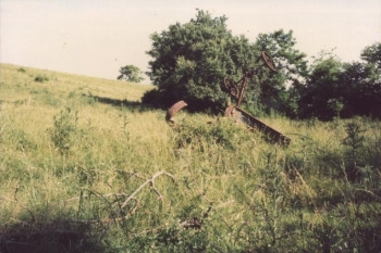 farm1987-obstacles-in-the-field