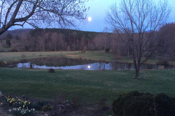 Hughes River Farm in Sperryville, Virginia